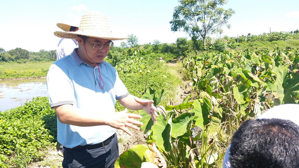 博猫游戏·(中国)官网登录入口