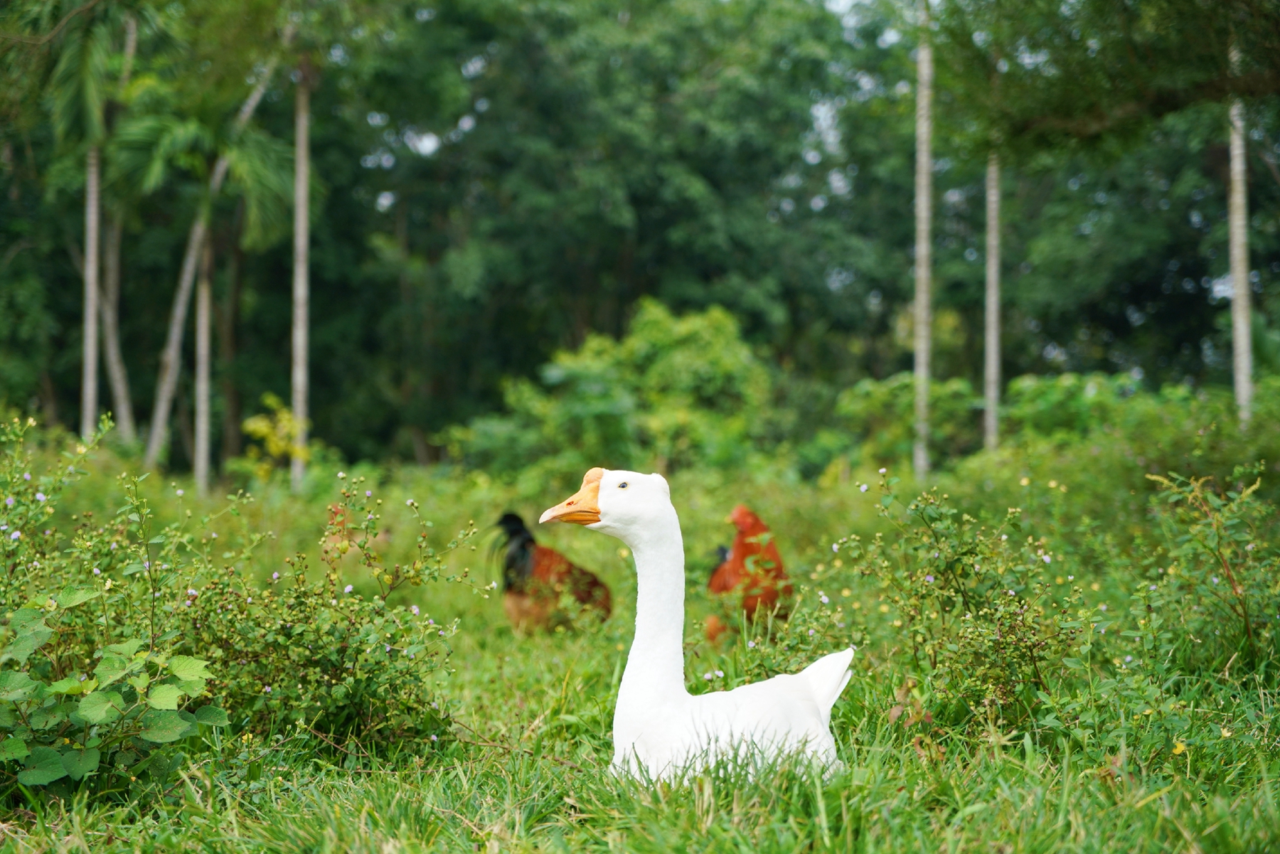 博猫游戏·(中国)官网登录入口