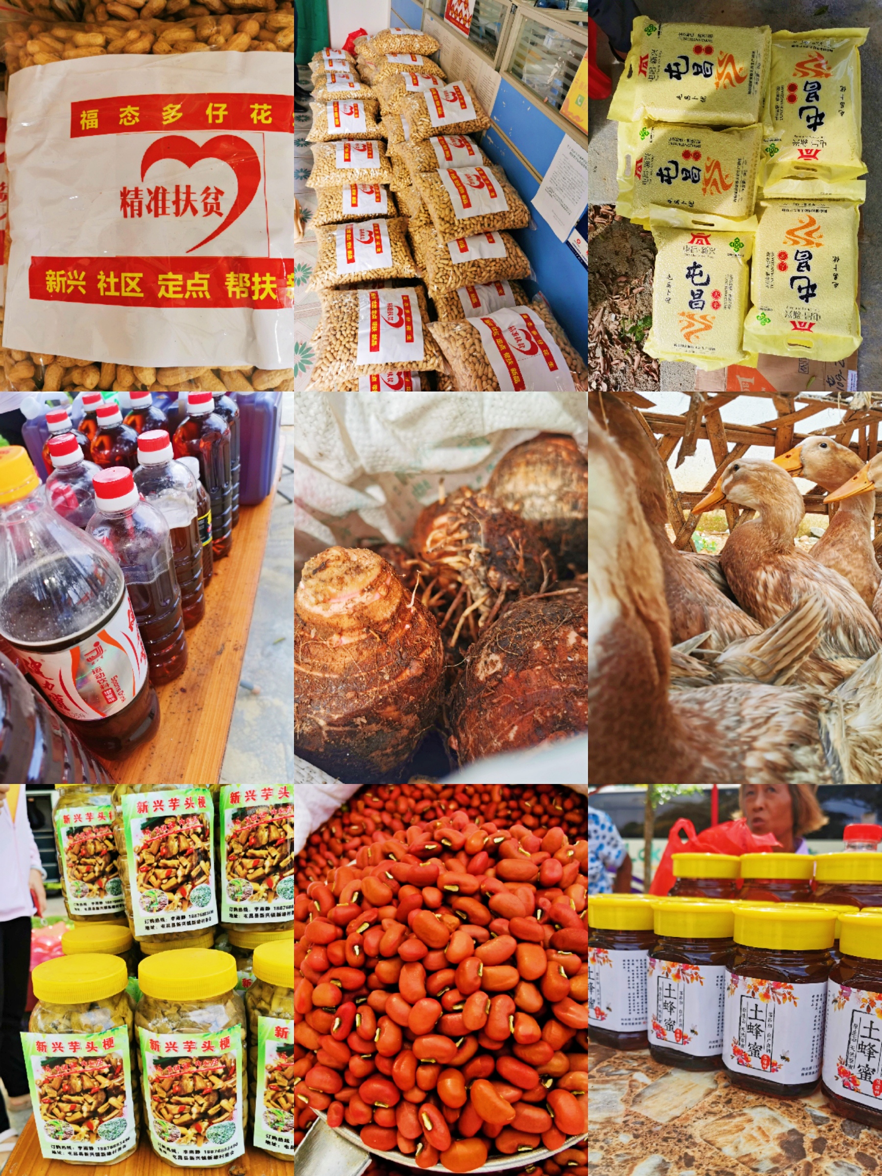 博猫游戏·(中国)官网登录入口