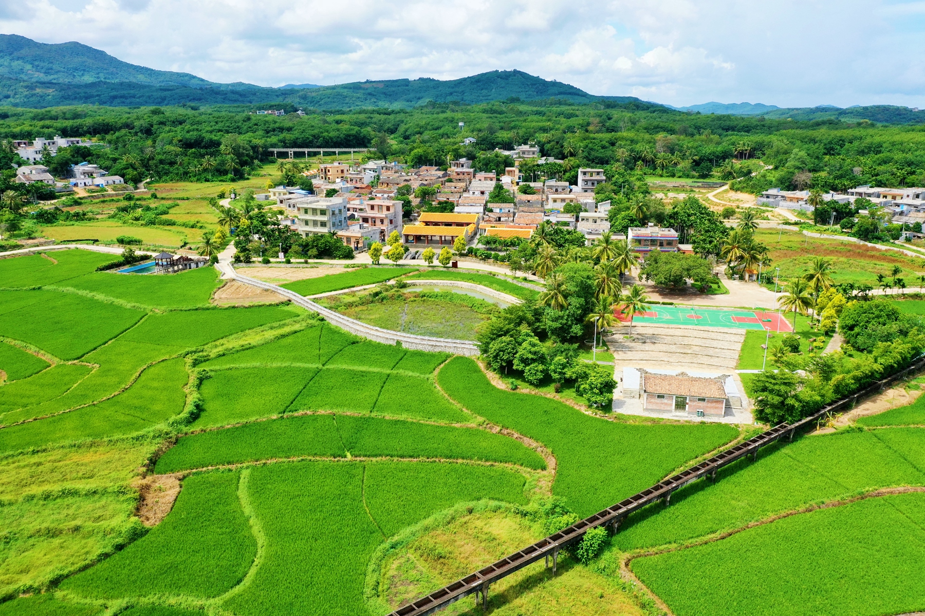 博猫游戏·(中国)官网登录入口