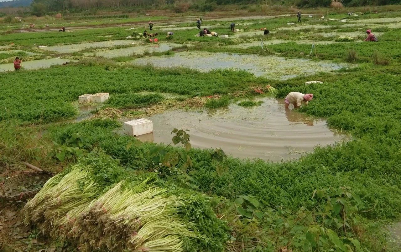 博猫游戏·(中国)官网登录入口