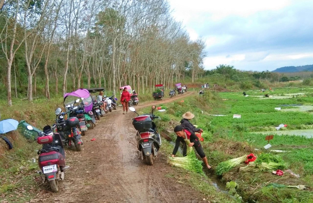 博猫游戏·(中国)官网登录入口